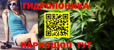 не бодяженный Новозыбков